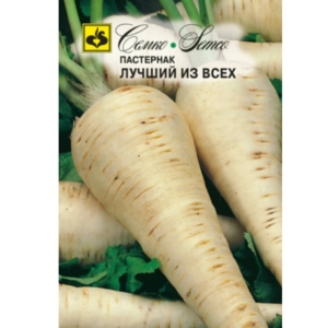 بذور الجزر الأبيض