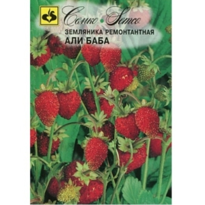 بذور الفراولة -علي بابا- (عضوية)