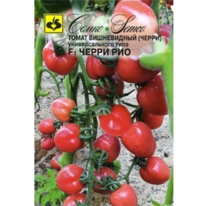 بذور الطماطم الكرزي Rio