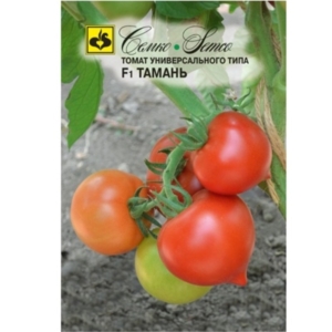 بذور الطماطم - Taman - هجين F1