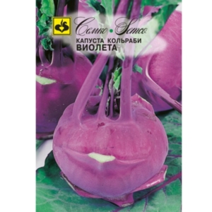 بذور الكولورابي الأرجواني - ڤيوليتا