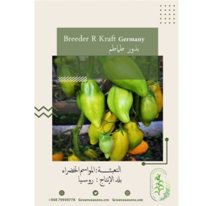 بذور الطماطم الألماني - Breeder R Kraft Germany