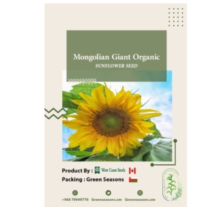 بذور دوار الشمس Mongolian Giant Organic