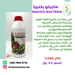 MAGICO BACTERIA