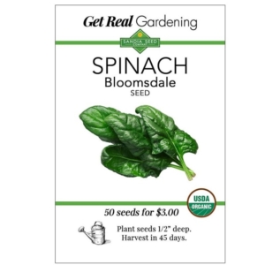 بذور السبانخ Bloomsdale