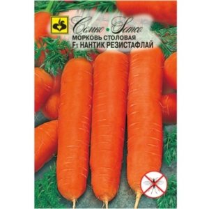 بذور الجزر - Nantic Resistaflay F1