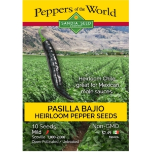 بذور الفلفل PASILLA BAJIO / CHILACA CHILE SEEDS