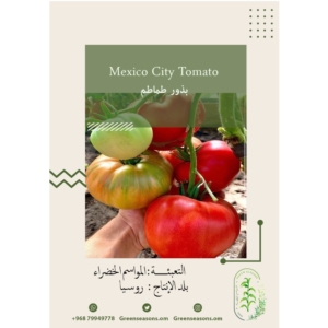 بذور الطماطم Mexico City Tomato