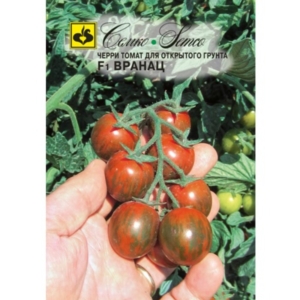 بذور طماطم شيري - Vranac - هجين F1
