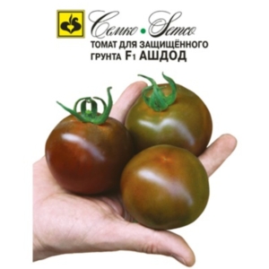 بذور الطماطم -أشرف- هجين F1