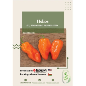 بذور فلفل Helios
