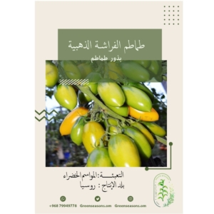 بذور طماطم الفراشة الذهبية
