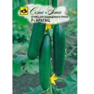 بذور الخيار - أراجاتس F1