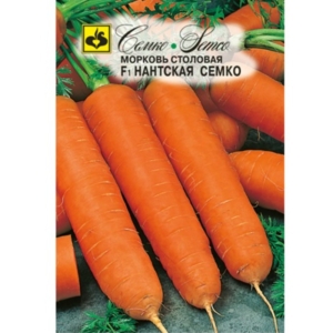 بذور الجزر نانت سيمكو F1