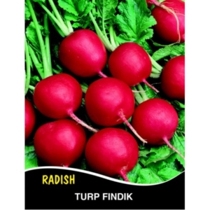 بذور الفجل الأحمر المدور - Turp Uzun Beyaz Japon