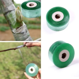 تيب التطعيم - الترقيد الهوائي