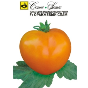 بذور الطماطم البرتقالي Orange Spam F1
