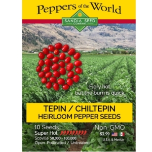 بذور الفلفل الحار TEPIN/CHILTEPIN CHILE SEEDS