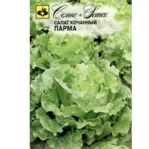 بذور الخس بارما