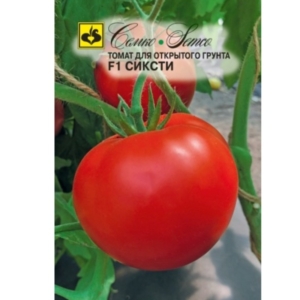 بذور الطماطم ستين F1