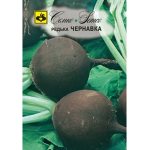 بذور الفجل المدور الأسود - تشيرنافكا