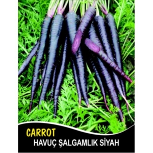 بذور البنفسجي - Havuc Salgamlik Siyah