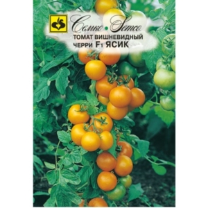 بذور الطماطم الكرزي - باسم F1