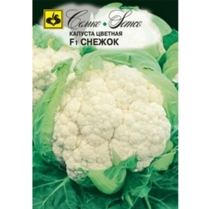 بذور القرنبيط - سنو بول - هجين F1