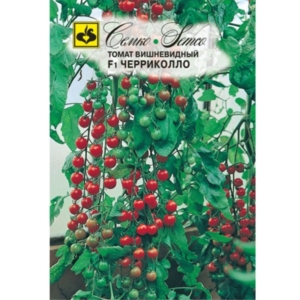 بذور الطماطم الكرزي - Tomato Cherricollo F1