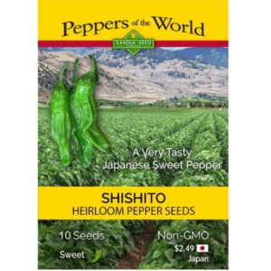 بذور الفلفل الياباني الحلو شيشيتو 🇯🇵
