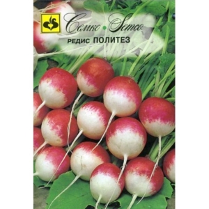 بذور الفجل المدور بوليتيز