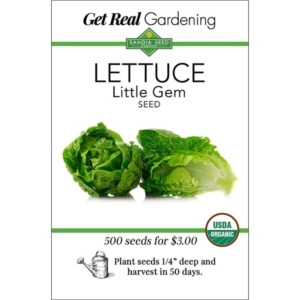 بذور الخس Little Gem