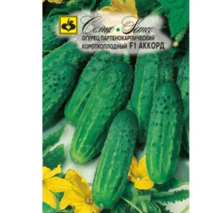 بذور الخيار - وتر F1