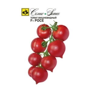 بذور الطماطم الكرزي Roae F1