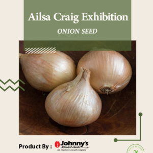 Ailsa Craig Exhibition