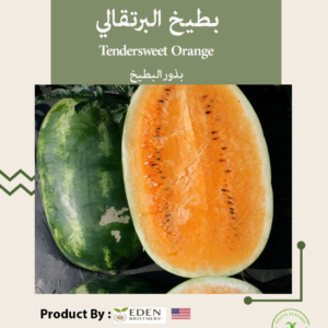 بطيخ البرتقالي