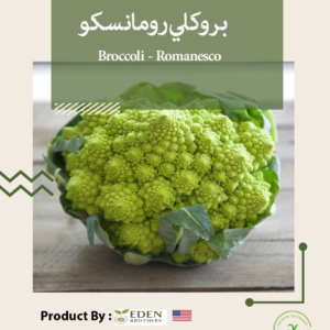 بروكلي رومانسكو