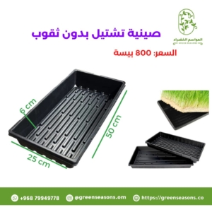 صينية تشتيل بدون ثقوب