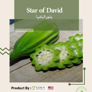 Star of David
