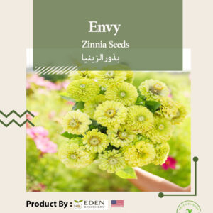 Envy