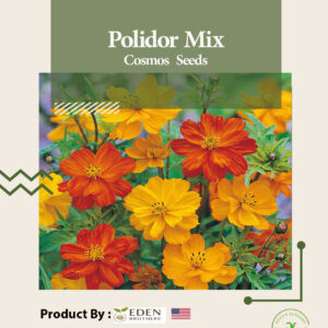 Polidor Mix