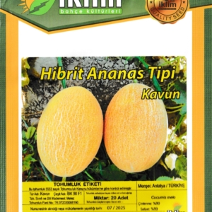 بذور شمام الأناناس -IBK 90 F1