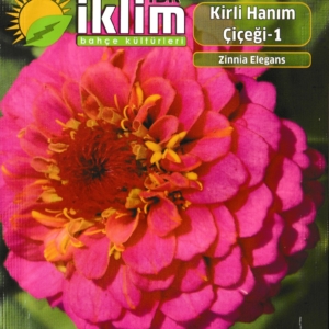 زبنبا - ZINNIA ELEGANS