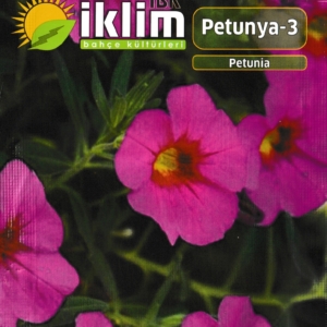 بتونيا - PETUNIA