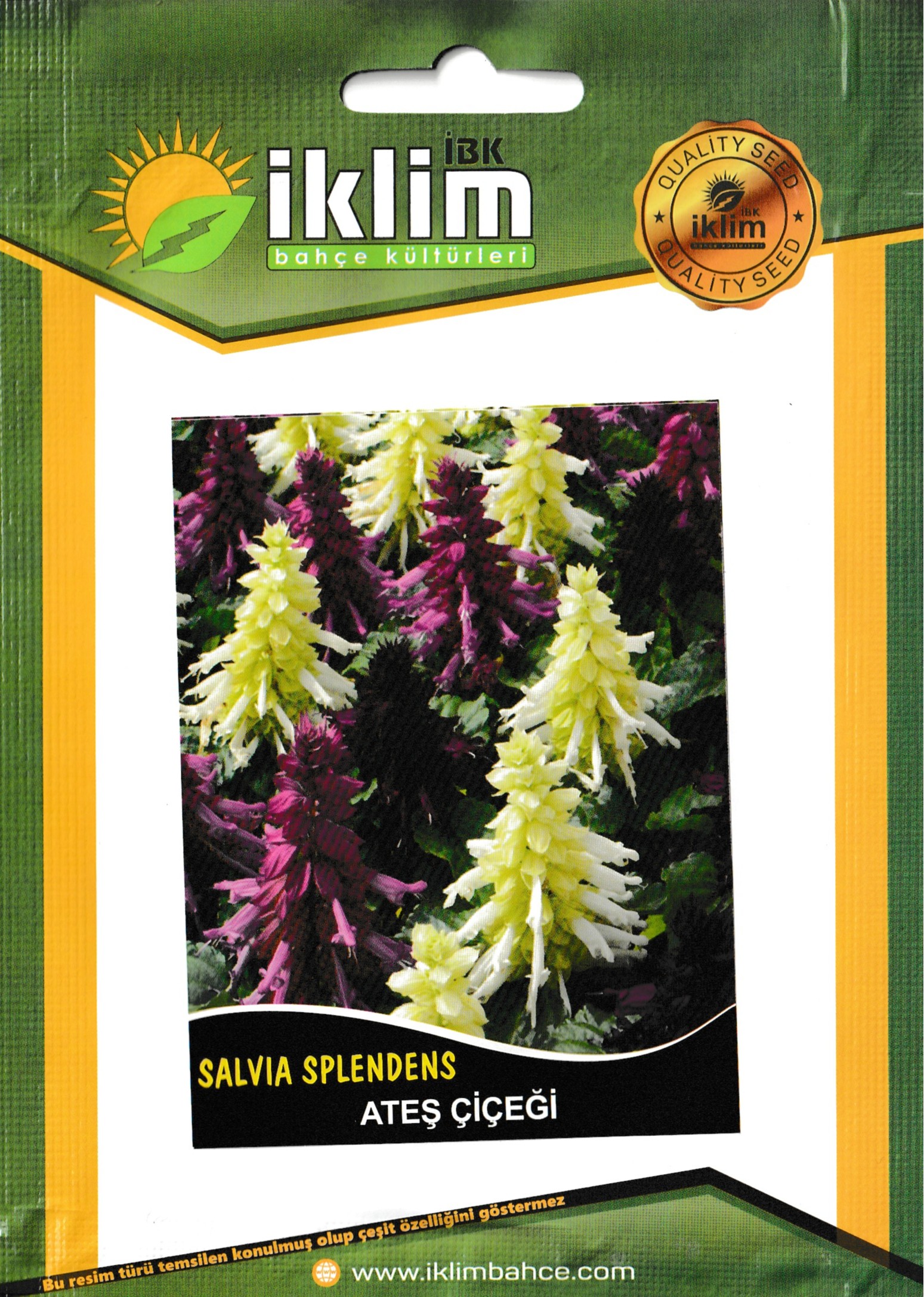 2025_08_20_10_48_IMG_6768