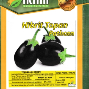 بذور الباذنجان - YARI TOPAN PATLICAN IBK62 F1