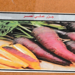 بذور الجزر العماني