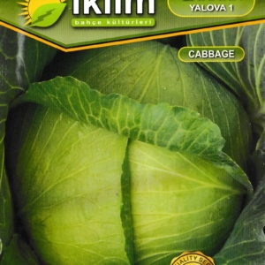 ملفوف يالوفا - LAHANA YALOVA1 CABBAGE