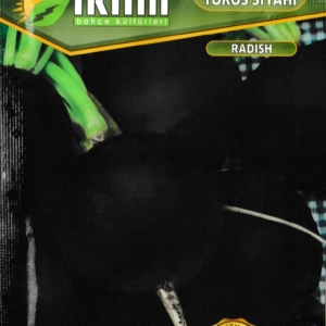 الفجل الأسود المدور - TURP TOROS SIYAHI RADISH