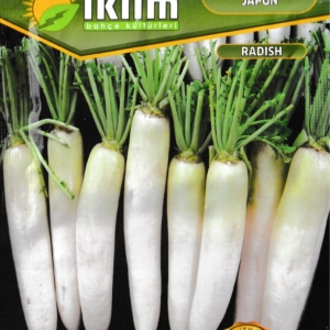 الفجل الأبيض الطويل - TURP UZUN BEYAZ JAPON RADISH